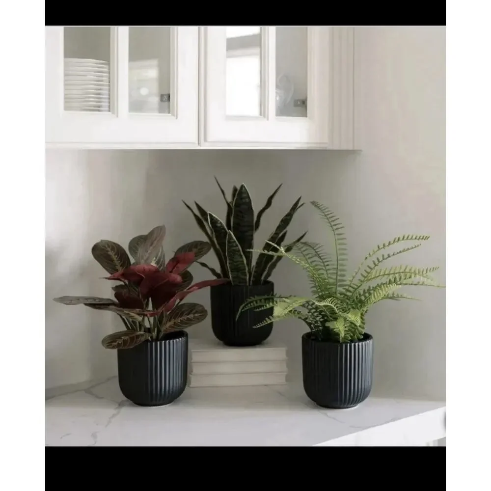 CGH Faux Decorative Plant 3 Pack Snake Fern Prayer Plant Planter Zero Maintenanc